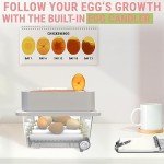 12-Egg Automatic Incubator with Humidity Control