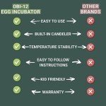 12-Egg Automatic Incubator with Humidity Control