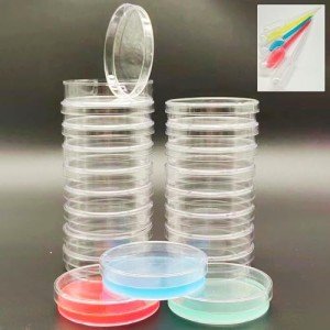 Transparent 60mm Petri Dishes with Lids - 20 Pack