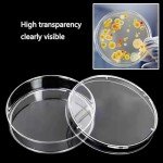 Transparent 60mm Petri Dishes with Lids - 20 Pack