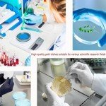 Transparent 60mm Petri Dishes with Lids - 20 Pack