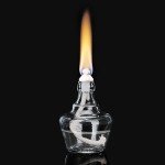 Stonylab 150 ml Glass Alcohol Lamp for Labs