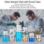 24-Count 30ml Mini Glass Jars with Lids