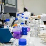 3 Pack 1000ml Lab Storage Bottles with Caps