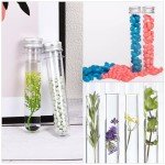 100ml Plastic Test Tubes with Screw Caps - 6pcs