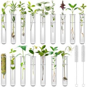 16 Clear Test Tubes for Plant Propagation & Storage