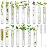 16 Clear Test Tubes for Plant Propagation & Storage