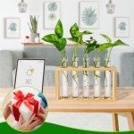 16 Clear Test Tubes for Plant Propagation & Storage