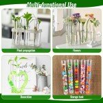 16 Clear Test Tubes for Plant Propagation & Storage