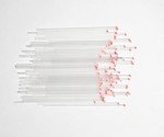 200pcs Glass Capillary Tubes for Laboratory Use