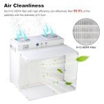 HEPA H12 Laminar Flow Hood for Labs