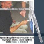 Stainless Steel Dissecting Thumb Forceps 5.5 Inch