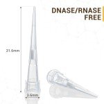10µL Universal Pipette Tips - RNase/DNase Free, Sterile