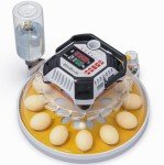 Automatic Egg Incubator with Digital Humidity Control