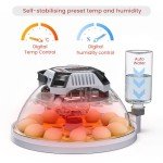 Automatic Egg Incubator with Digital Humidity Control