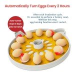 Automatic Egg Incubator with Digital Humidity Control