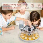 Automatic Egg Incubator with Digital Humidity Control