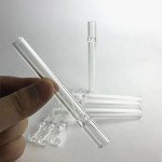 4-Inch Glass Tube Stem with 2 Cleaning Brushes
