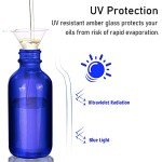 Blue Dropper Bottles, 4oz Tincture Set - 2-Pack