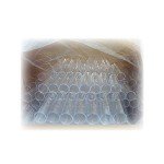 Disposable Drosophila Vials - 500 Count Clear Plastic