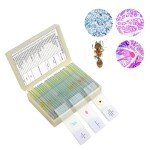 30 Prepared Microscope Slides with Specimens for Kids
