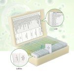 30 Prepared Microscope Slides with Specimens for Kids