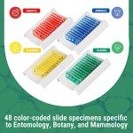 Kids' 48pc Prepared Microscope Slides Set
