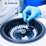 AyinLab 2ml Microcentrifuge Tubes - 500 Pack