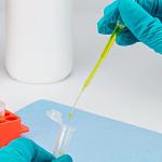 Globe Scientific LDPE Fine Tip Transfer Pipets