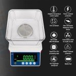 RUISHAN 500g High Precision Lab Analytical Balance