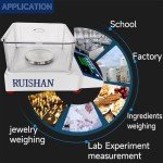RUISHAN 500g High Precision Lab Analytical Balance
