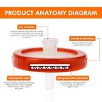 Sterile PTFE Syringe Filters, 25mm, 20 Pack