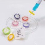 Sterile PTFE Syringe Filters, 25mm, 20 Pack