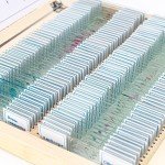 AmScope Basic Biological Microscope Slide Set, 100 Slides