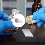StonyLab 100mm Glass Capillary Tubes - 4 Pack