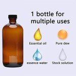 16oz Amber Glass Boston Bottles with Caps - 2pcs