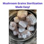 SH Scientific 150L Vertical Autoclave for Sterilization