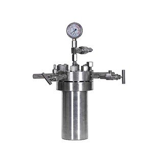 High Pressure Autoclave Reactor - 350°C, 22MPa