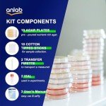anlab™ Nutrient Agar Science Project Kit - 10 Plates