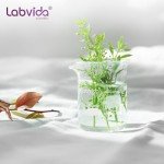 Labvida 6-Pack 50ml Thick Glass Beakers