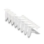 ProAmp™ 0.2mL PCR Tubes with Dome Caps