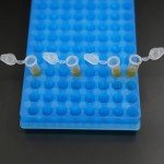 Microcentrifuge Tube Rack for Lab Test Tubes