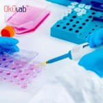 Okulab Adjustable Single-Channel Pipette 20-200µL