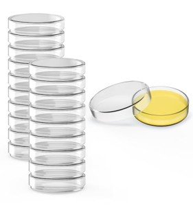 60mm Glass Petri Dishes with Lids, Pack of 20