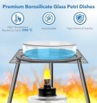 60mm Glass Petri Dishes with Lids, Pack of 20
