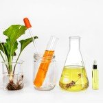 Yarlung 7-Piece Glass Erlenmeyer Flask Set