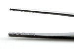 6-Inch Serrated Thumb Forceps - Stainless Steel