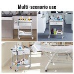 VEVOR Stainless Steel 2-Layer Lab Utility Cart