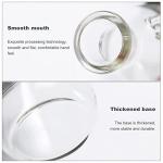 250ml Heavy Wall Glass Vacuum Filter Flask