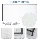 Vertical Laminar Flow Hood with HEPA Filters